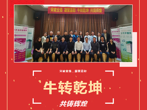 突破業(yè)績、凝聚嘉彰、牛轉(zhuǎn)乾坤、共鑄輝煌